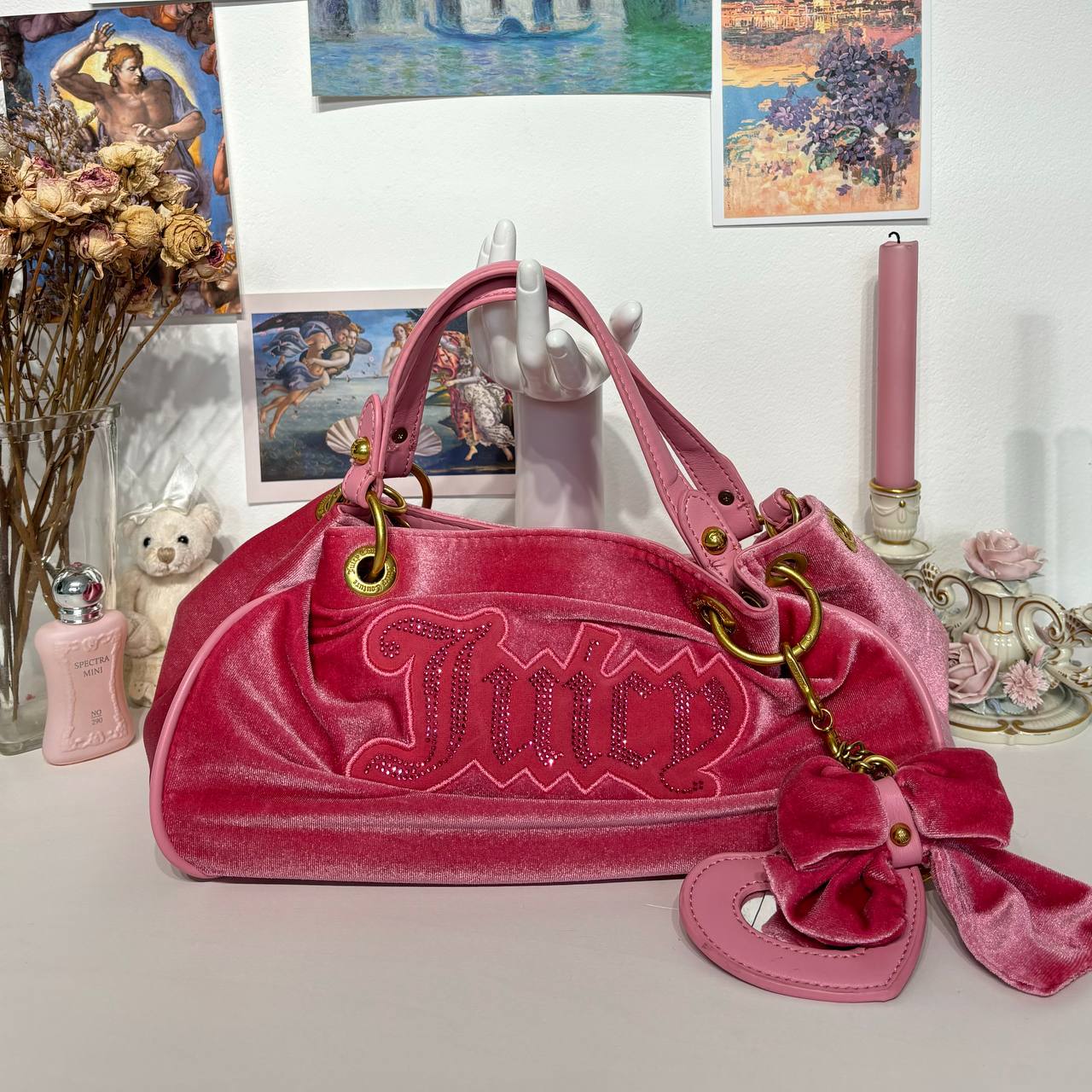 Juicy Couture bag velvet