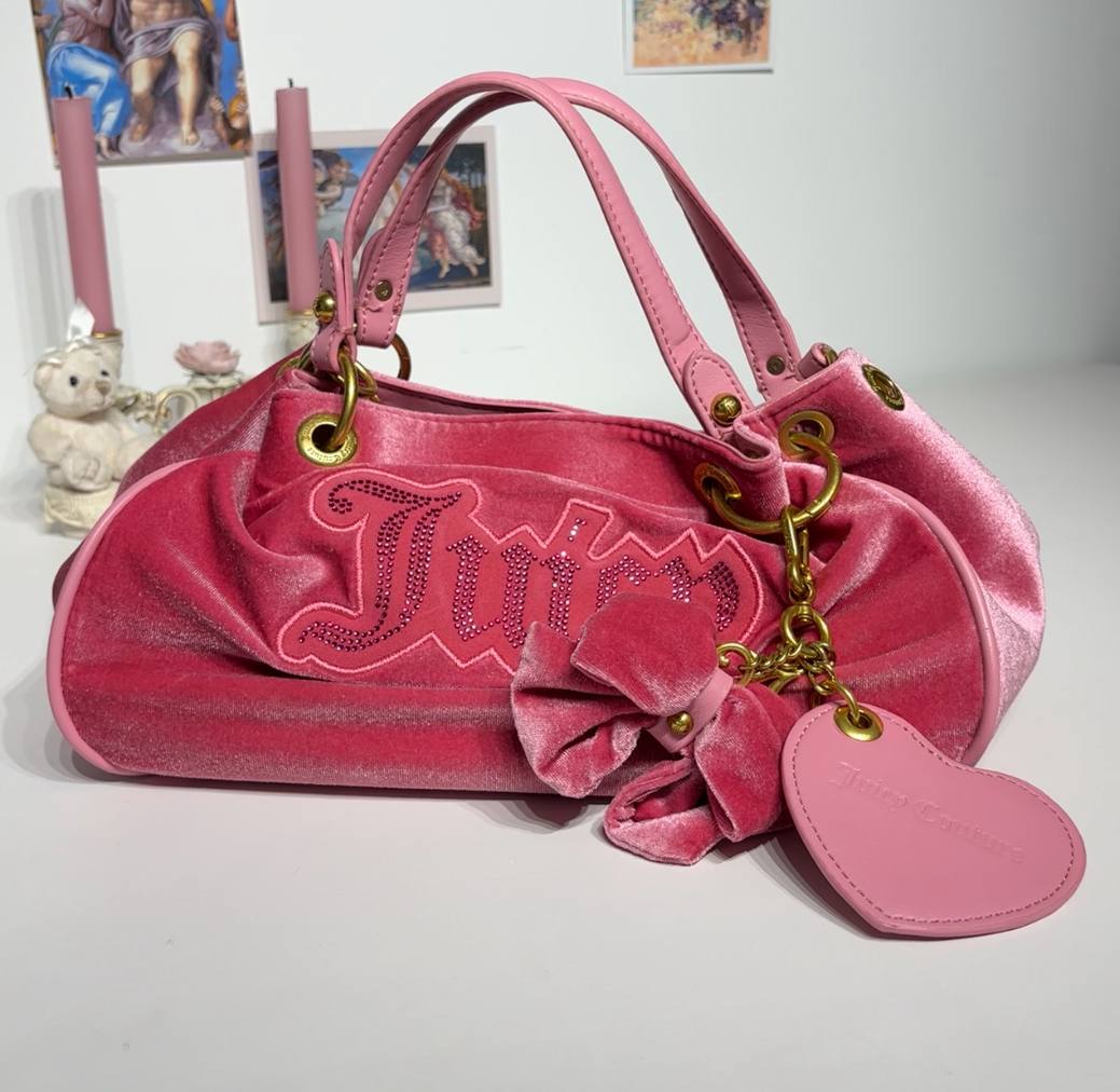 Juicy Couture bag velvet