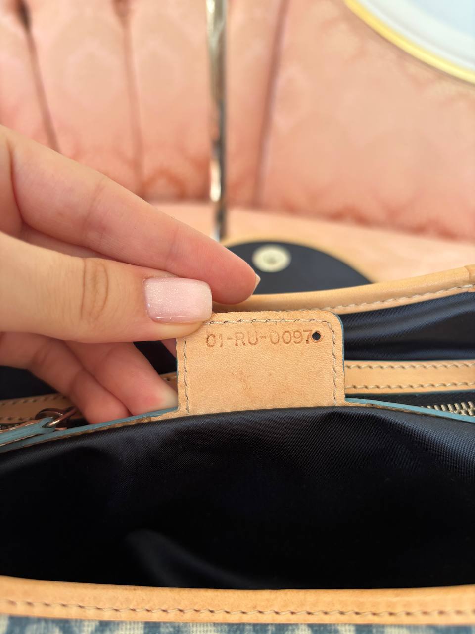 Dior Romatique trotter bag