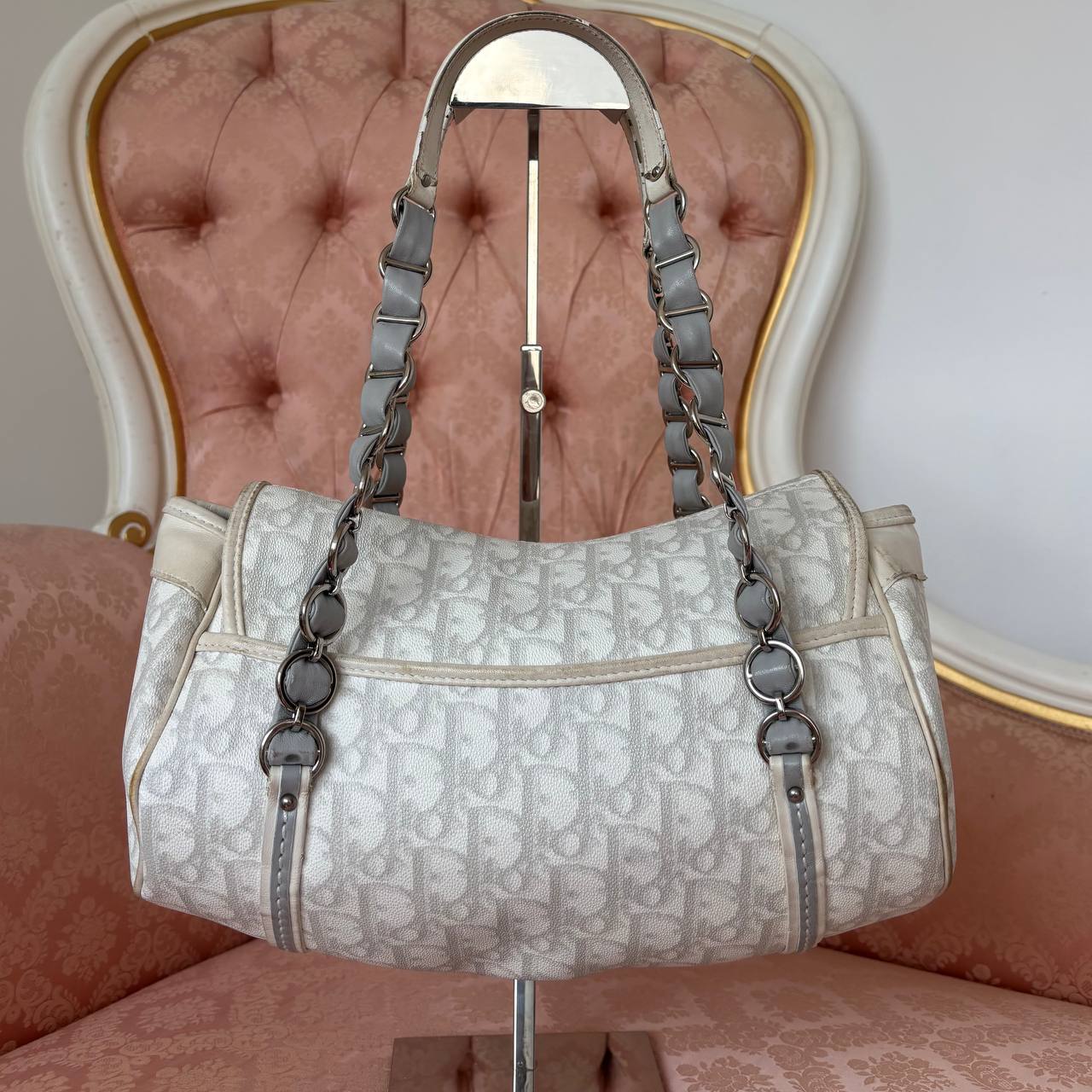 Dior trotter bag Romantique grey monogram