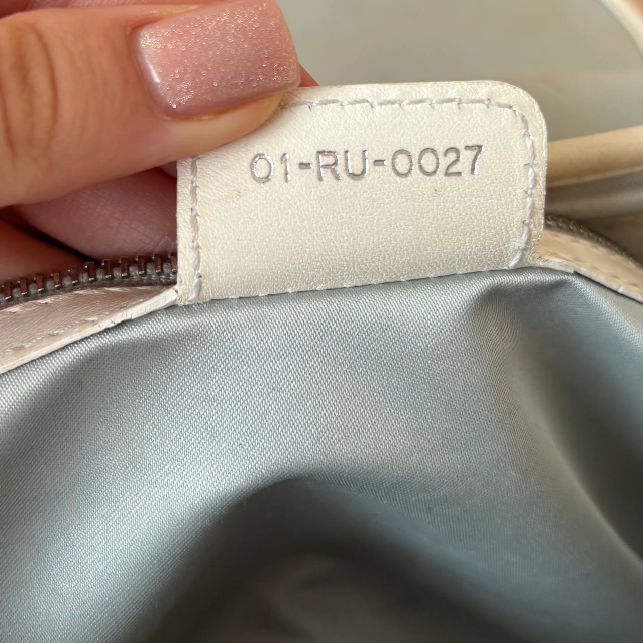 Dior trotter bag Romantique grey monogram