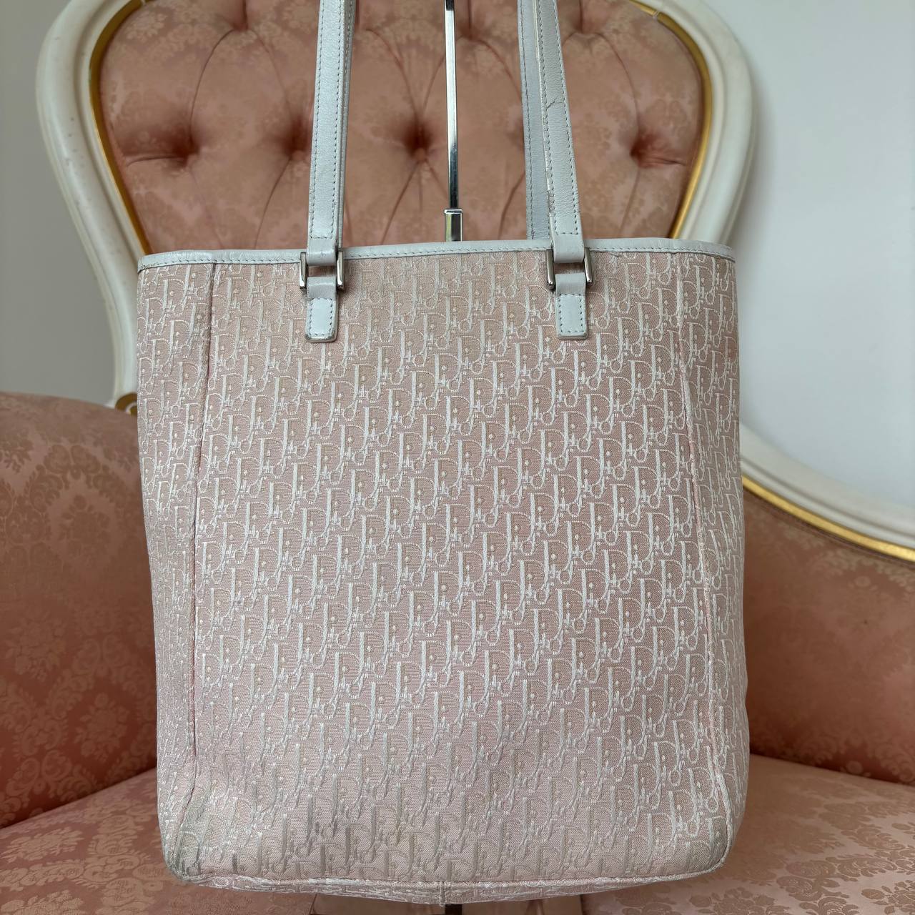 Dior oblique bag canvas