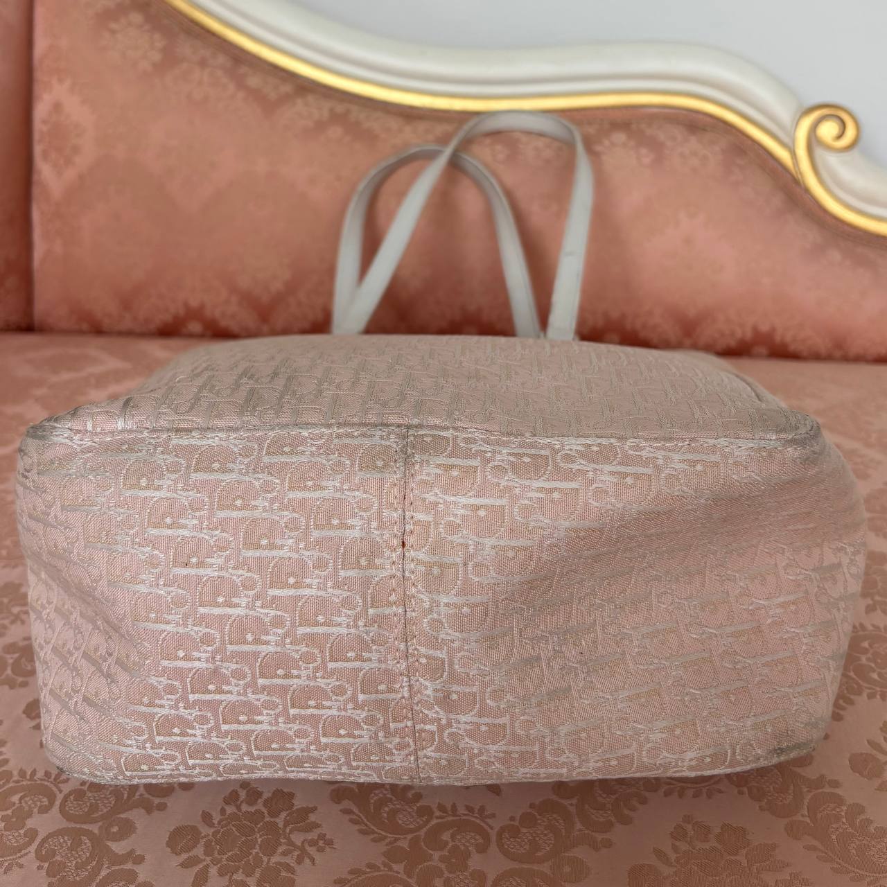 Dior oblique bag canvas