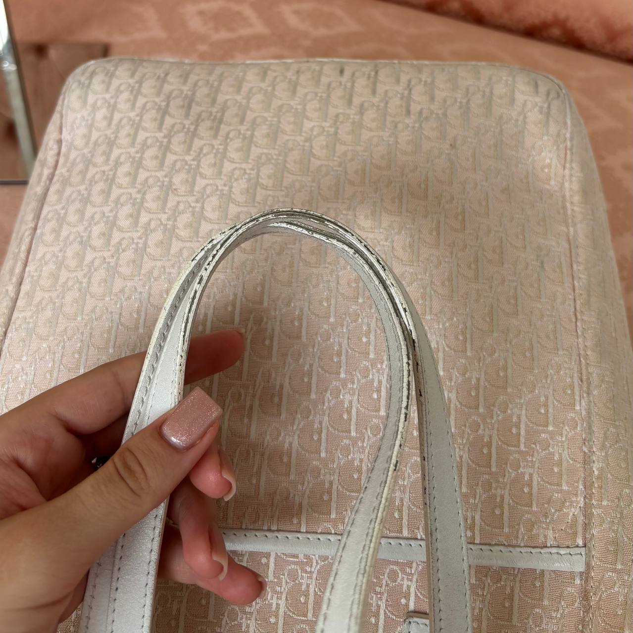 Dior oblique bag canvas