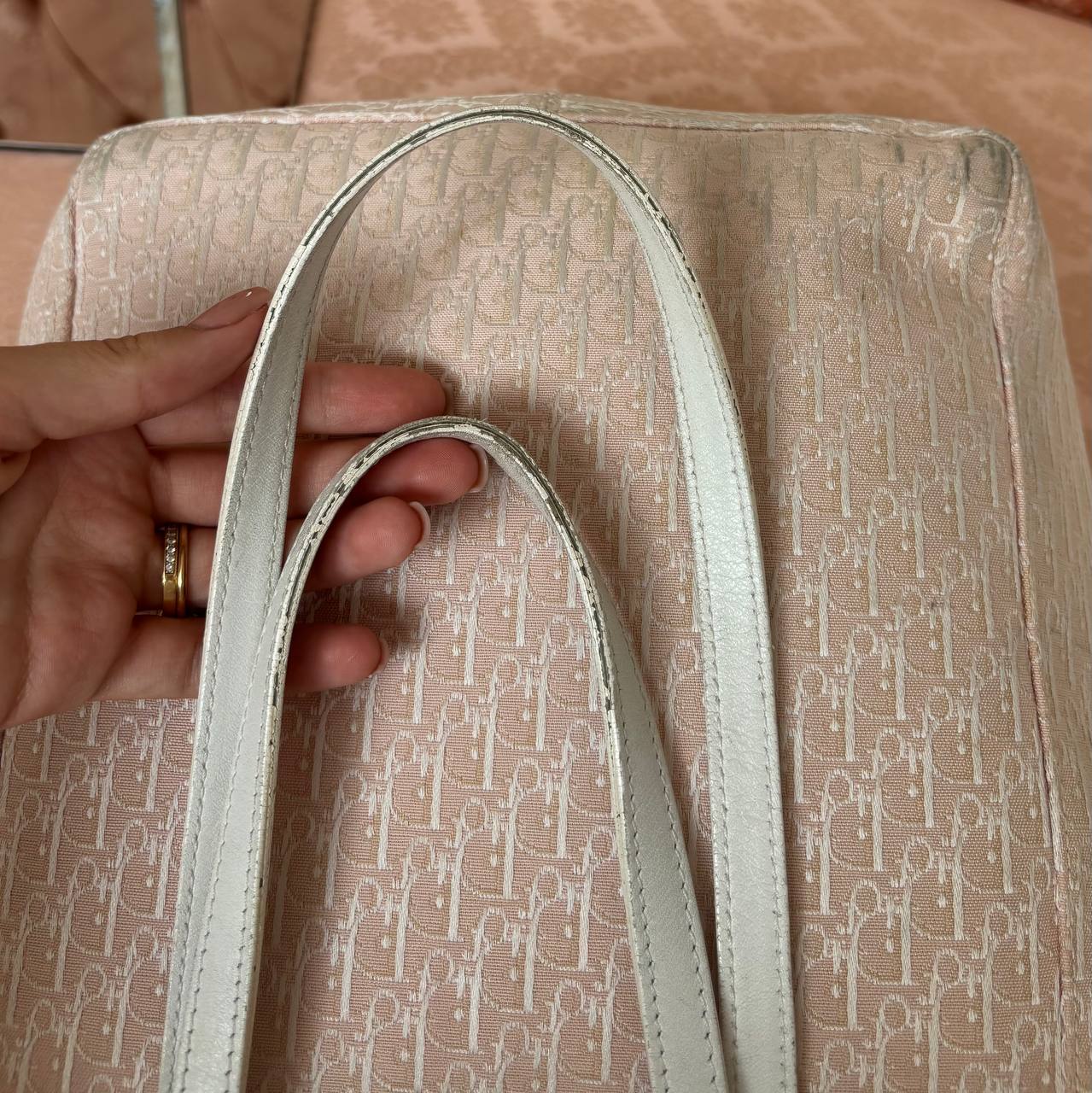 Dior oblique bag canvas