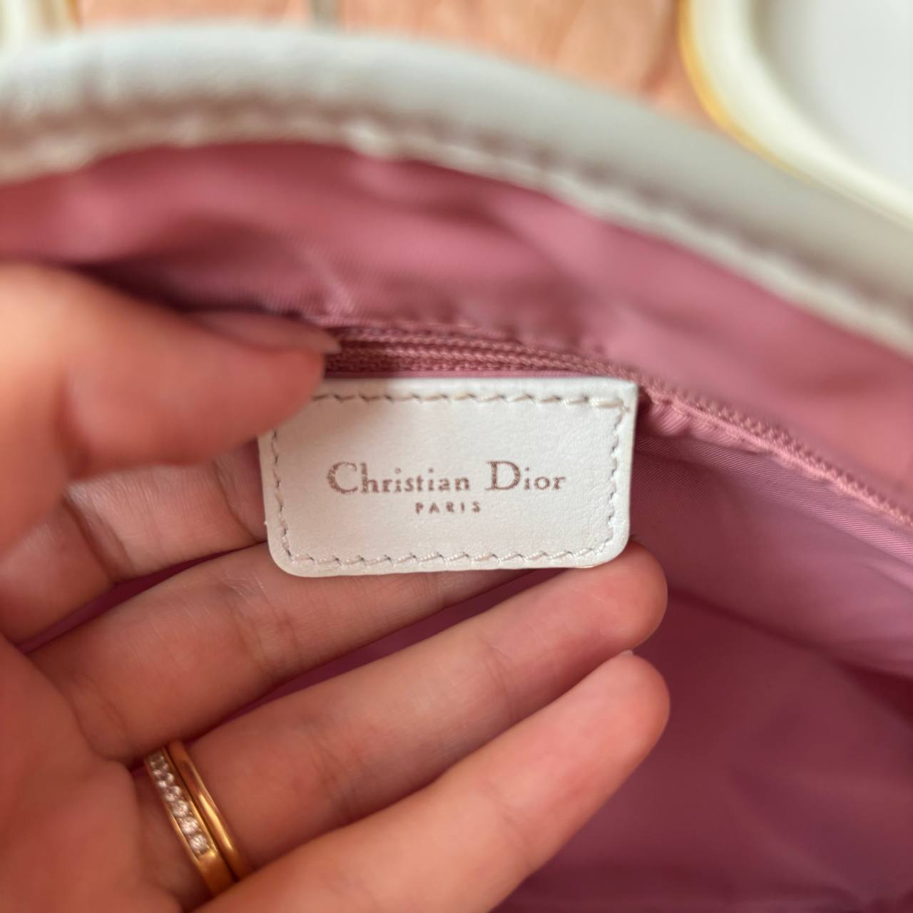 Dior oblique bag canvas