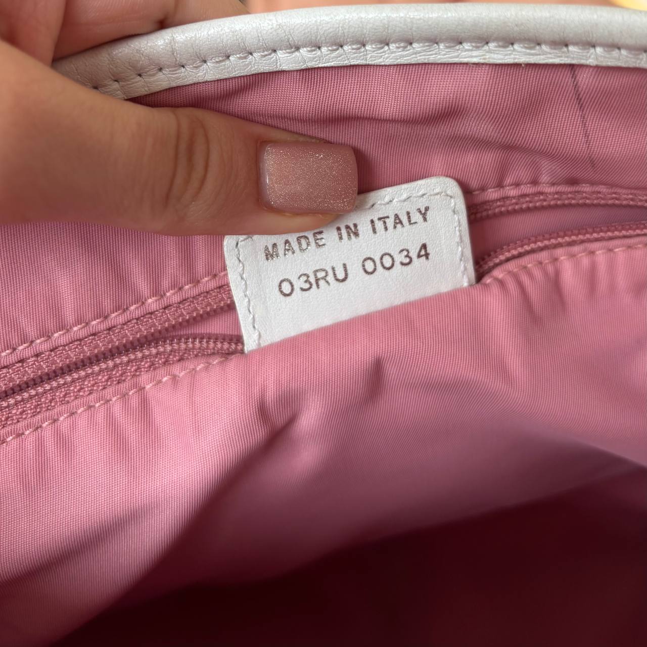 Dior oblique bag canvas