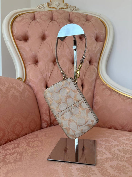 Coach clutch bag micro
