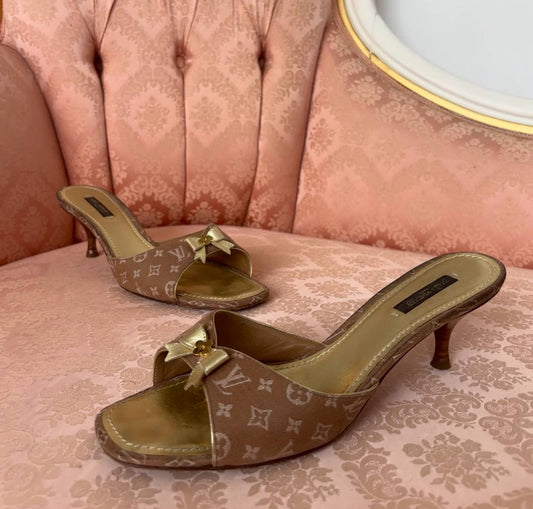 Louis Vuitton mules heels sandals