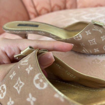 Louis Vuitton mules heels sandals