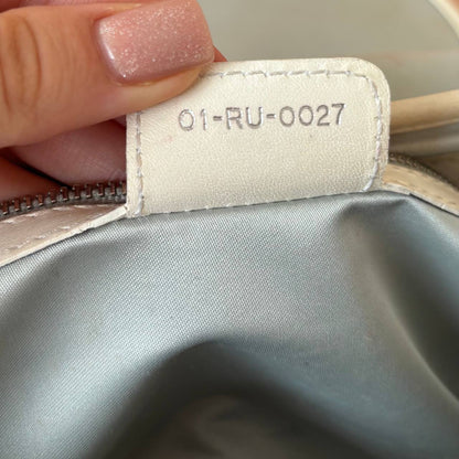 Dior trotter bag Romantique grey monogram