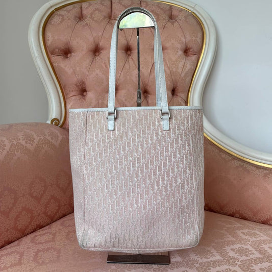 Dior oblique bag canvas