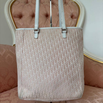 Dior oblique bag canvas