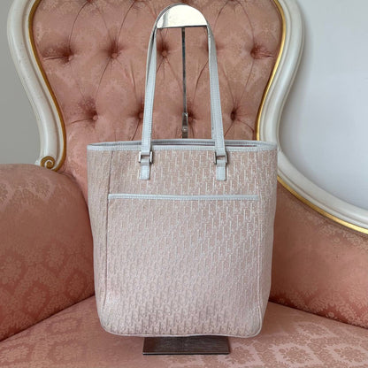 Dior oblique bag canvas