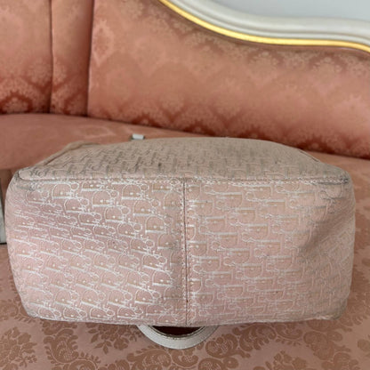 Dior oblique bag canvas