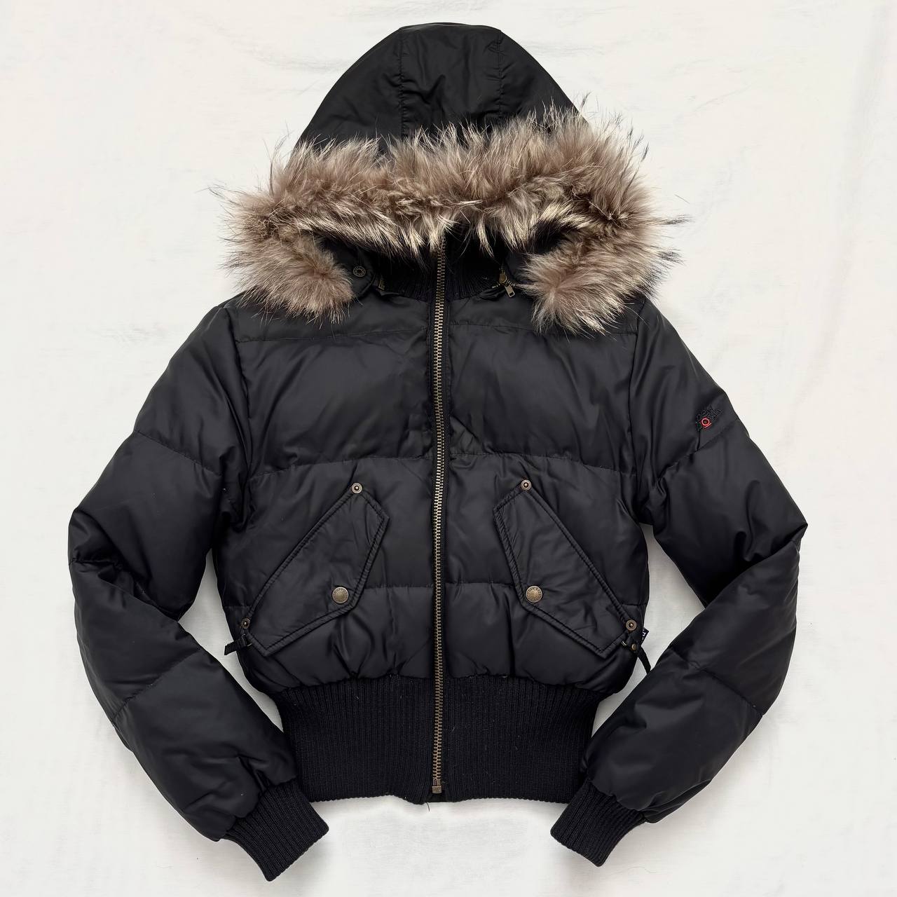 Italian New Born puffer