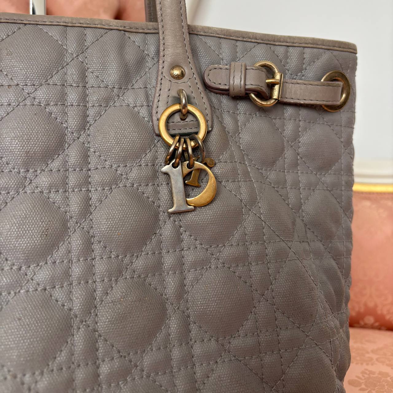 Christian Dior tote bag model Panarea canvas medium tote